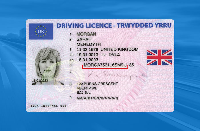 Driving licence check
