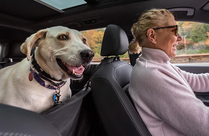 Woman driving with a dog in the car