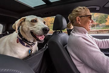 Woman driving with a dog in the car