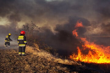 Firefighters putting out fire on hillside.