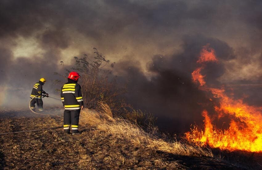 Firefighters putting out fire on hillside.