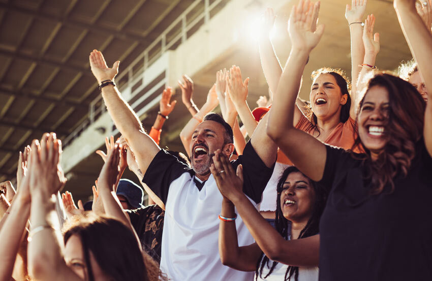 Sports fans in a stadium