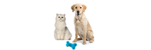 Compare Pet Insurance From £4.79/Month – Confused.com